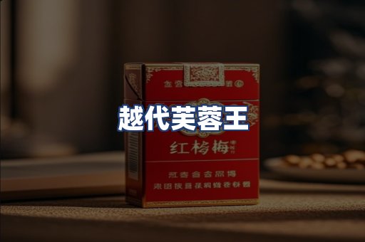 越代芙蓉王